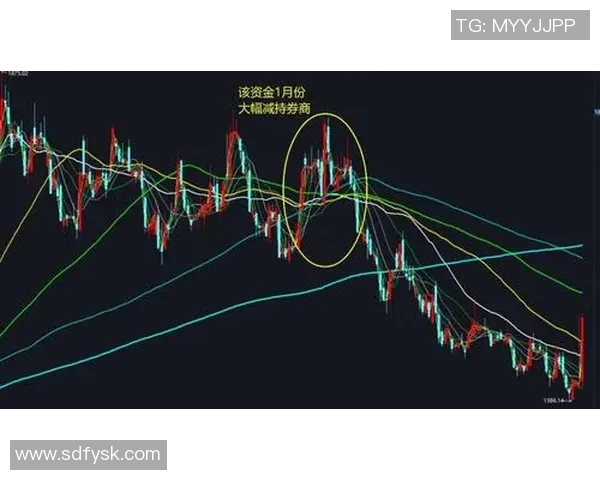 杭州羽毛球队在洲际杯中的速度表现分析与点评